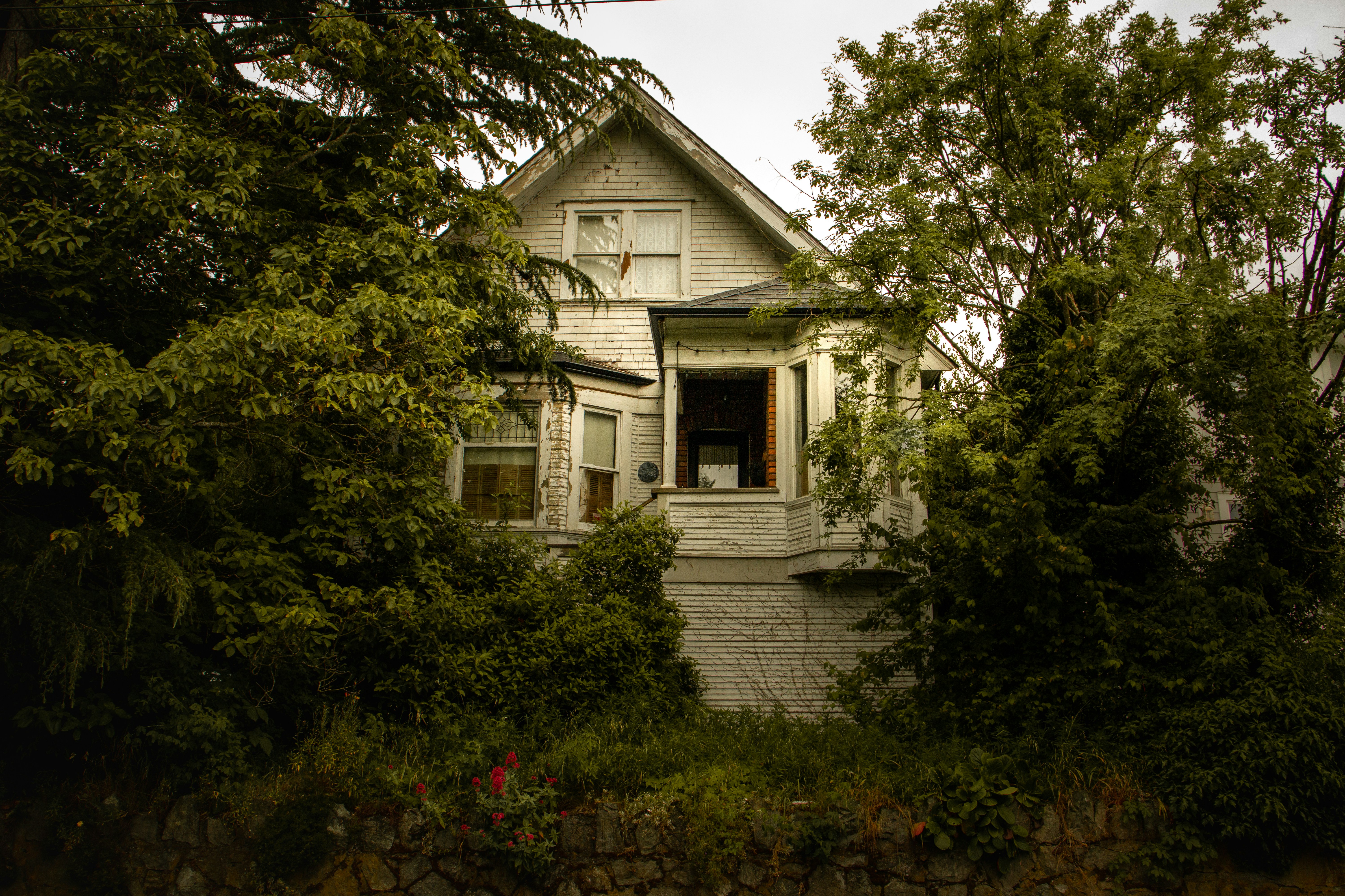Abandoned vacant house surrounded by overgrown trees and vegetation
